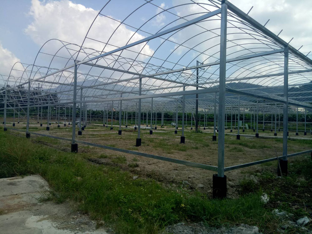 南投溫室加高加強型簡固+電動天窗及電動捲揚設計及施工
